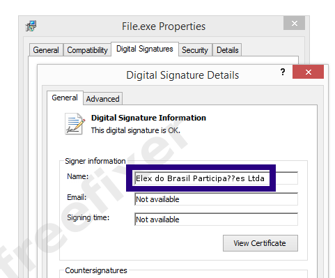 Screenshot of the Elex do Brasil Participa??es Ltda certificate